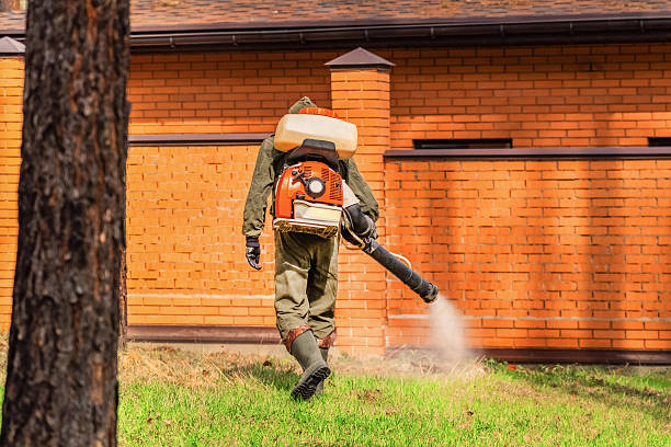 Trusted Emergency Pest Control service in Brookwood, AL - Nex Pest Control